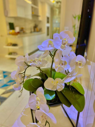 Apartamento com 3 Quartos à Venda, 1 m² em Praia Da Costa