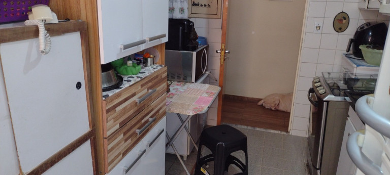 Imagem Apartamento com 3 Quartos à Venda, 65 m² em Vila Emir - São Paulo