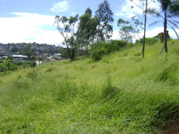 Imagem Imóvel Comercial à Venda, 7.400 m² em Terra Preta - Mairiporã Imagem Imóvel Comercial à Venda, 7.400 m² em Terra Preta - Mairiporã
