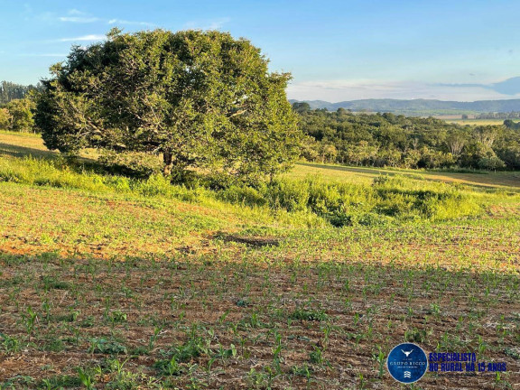 Imagem Chácara à Venda, 10 m² em Zona Rural - Goiás Imagem Chácara à Venda, 10 m² em Zona Rural - Goiás