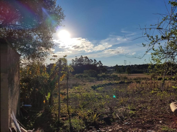 Imagem Imóvel com 3 Quartos à Venda, 29.000 m² em Tres Lagoas Imagem Imóvel com 3 Quartos à Venda, 29.000 m² em Tres Lagoas