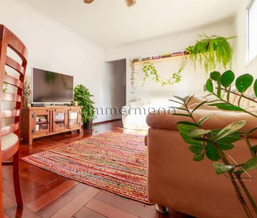 Imagem Casa com 3 Quartos à Venda, 113 m² em Saude - São Paulo Imagem Casa com 3 Quartos à Venda, 113 m² em Saude - São Paulo