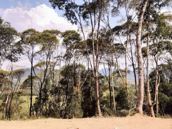 Imagem Imóvel à Venda, 28.900 m² em Zona Rural - Bom Retiro Imagem Imóvel à Venda, 28.900 m² em Zona Rural - Bom Retiro