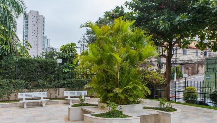 Imagem Apartamento com 2 Quartos à Venda, 95 m² em Bosque Da Saúde - São Paulo Imagem Apartamento com 2 Quartos à Venda, 95 m² em Bosque Da Saúde - São Paulo