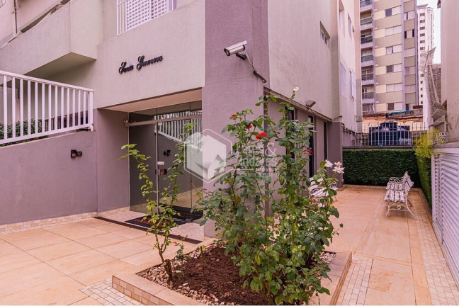 Imagem Apartamento com 3 Quartos à Venda, 79 m² em Aclimação - São Paulo Imagem Apartamento com 3 Quartos à Venda, 79 m² em Aclimação - São Paulo