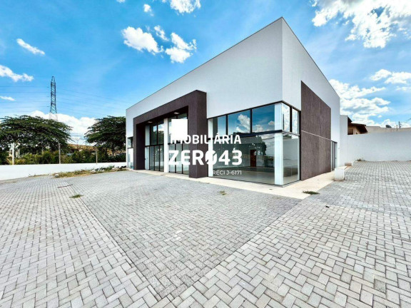 Imagem Sala Comercial para Alugar, 175 m² em Jardim Planalto - Londrina Imagem Sala Comercial para Alugar, 175 m² em Jardim Planalto - Londrina
