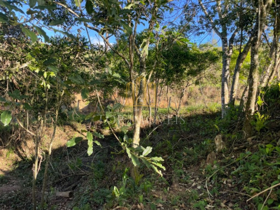 Imagem Terreno à Venda, 20.000 m² em Vila Unidos - São José Dos Campos Imagem Terreno à Venda, 20.000 m² em Vila Unidos - São José Dos Campos
