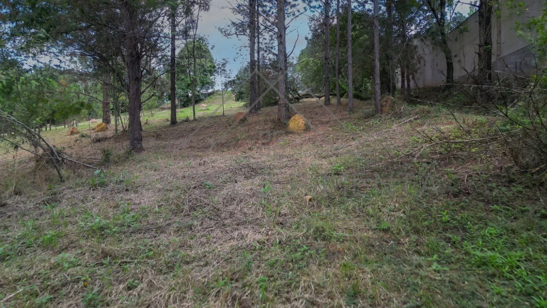 Imagem Terreno à Venda, 21.000 m² em Chácaras Alpina - Valinhos Imagem Terreno à Venda, 21.000 m² em Chácaras Alpina - Valinhos