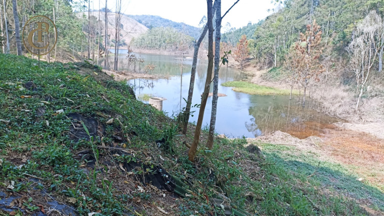 Imagem Chácara com 4 Quartos à Venda, 800 m² em Cedro - Paraibuna