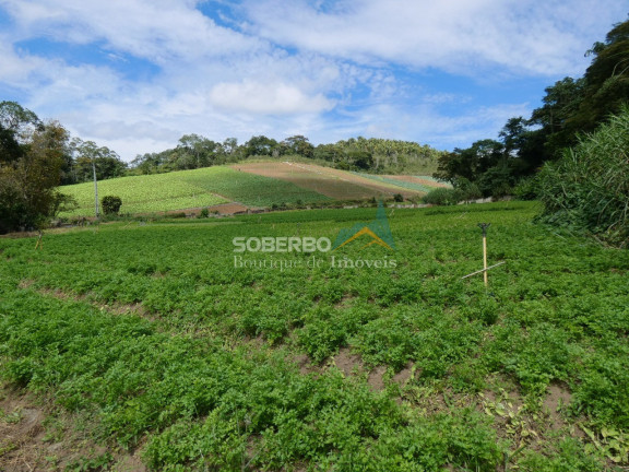 Imagem Imóvel com 46 Quartos à Venda, 2.200.000 m² em Ponte Nova - Teresópolis Imagem Imóvel com 46 Quartos à Venda, 2.200.000 m² em Ponte Nova - Teresópolis