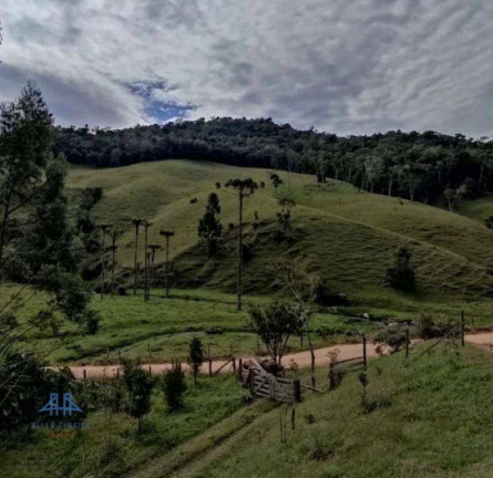 Imagem Terreno à Venda, 100.000 m² em Centro - Angelina Imagem Terreno à Venda, 100.000 m² em Centro - Angelina