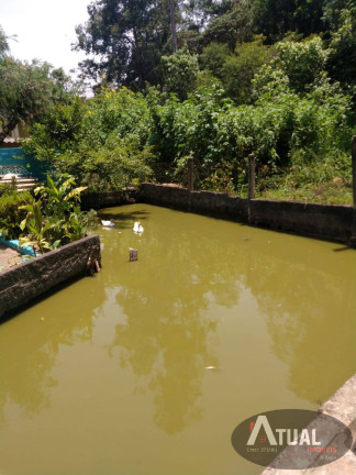 Imagem Chácara com 3 Quartos à Venda, 1 m² em Terra Preta - Mairiporã