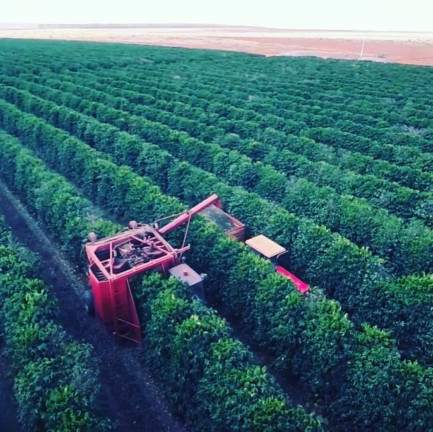 Imagem Chácara à Venda, em Zona Rural - Buritizeiro Imagem Chácara à Venda, em Zona Rural - Buritizeiro