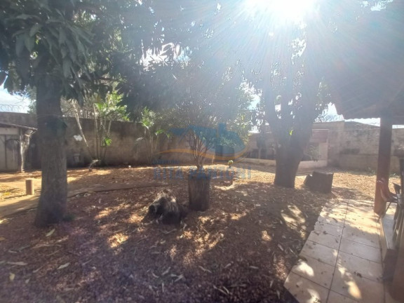 Imagem Imóvel com 4 Quartos à Venda, 3.200 m² em Cândido Portinari - Ribeirão Preto Imagem Imóvel com 4 Quartos à Venda, 3.200 m² em Cândido Portinari - Ribeirão Preto