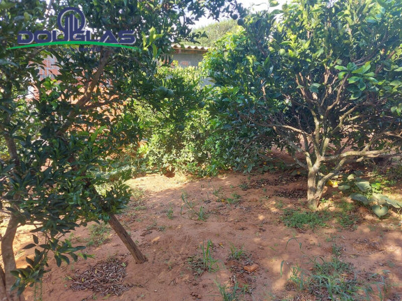 Imagem Casa com 4 Quartos à Venda, 475 m² em águas Claras - Viamão