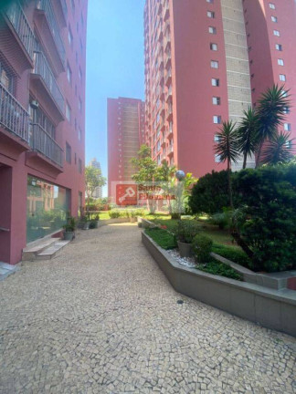 Imagem Apartamento com 3 Quartos à Venda, 95 m² em Jardim Das Laranjeiras - São Paulo