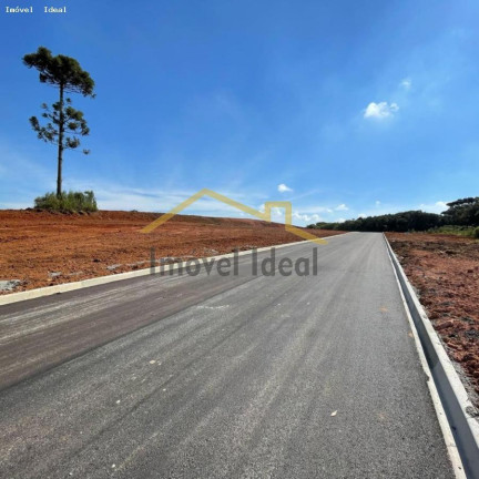 Imagem Terreno à Venda, 230 m² em Costeira - Araucária Imagem Terreno à Venda, 230 m² em Costeira - Araucária