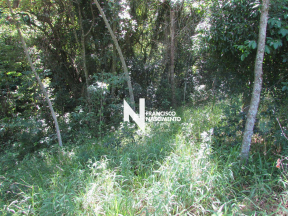 Imagem Terreno à Venda, 3.090 m² em Valinhos - Valinhos