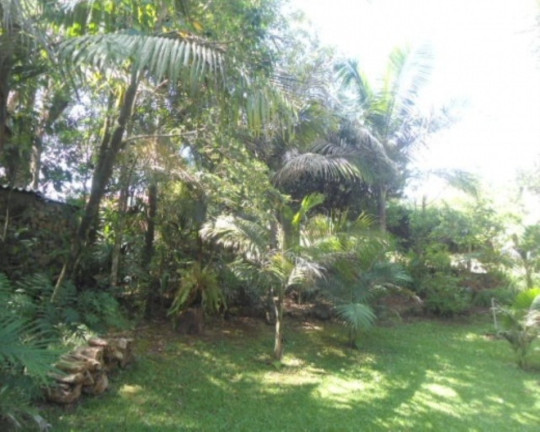 Imagem Casa com 5 Quartos à Venda, 385 m² em Piá - Nova Petrópolis Imagem Casa com 5 Quartos à Venda, 385 m² em Piá - Nova Petrópolis