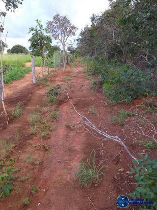 Imagem Fazenda à Venda, 44 m² em Zona Rural - Matrinchã Imagem Fazenda à Venda, 44 m² em Zona Rural - Matrinchã