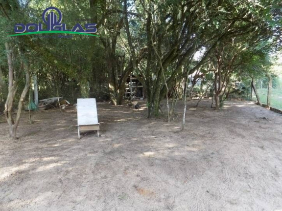 Imagem Casa com 1 Quarto à Venda, 530 m² em Viamão Imagem Casa com 1 Quarto à Venda, 530 m² em Viamão