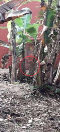 Imagem Terreno à Venda, 400 m² em Boiçucanga - São Sebastião Imagem Terreno à Venda, 400 m² em Boiçucanga - São Sebastião