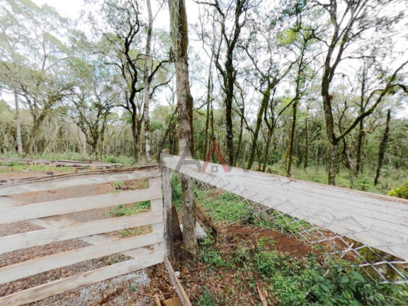 Imagem Fazenda à Venda, 20.000 m² em Jordão - Guarapuava Imagem Fazenda à Venda, 20.000 m² em Jordão - Guarapuava