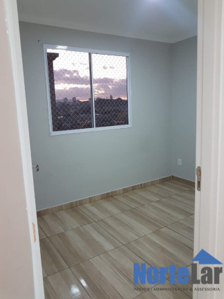 Imagem Apartamento com 2 Quartos à Venda, 41 m² em Jardim Das Graças - São Paulo Imagem Apartamento com 2 Quartos à Venda, 41 m² em Jardim Das Graças - São Paulo
