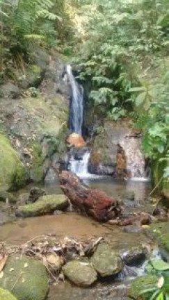 Imagem Terreno à Venda, 300.000 m² em Maresias - São Sebastião
