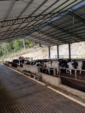 Imagem Fazenda à Venda, 90 m² em Centro - São Luíz Do Paraitinga Imagem Fazenda à Venda, 90 m² em Centro - São Luíz Do Paraitinga