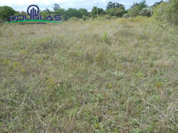 Imagem Imóvel Comercial à Venda, 3.640 m² em Morro Grande - Viamão