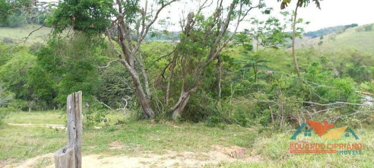 Imagem Imóvel à Venda, 31.000 m² em Capim Da Angola - Paraibuna