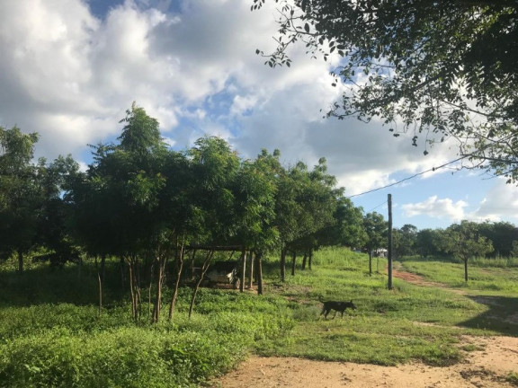 Imagem Imóvel com 5 Quartos à Venda, em Centro - Chorozinho Imagem Imóvel com 5 Quartos à Venda, em Centro - Chorozinho