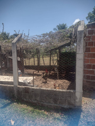 Imagem Chácara com 1 Quarto à Venda, 9.000 m² em Piau - Tibau Do Sul Imagem Chácara com 1 Quarto à Venda, 9.000 m² em Piau - Tibau Do Sul