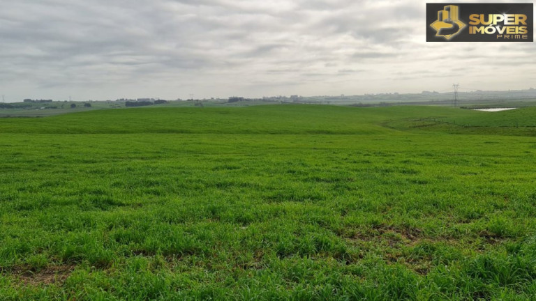 Imagem Imóvel com 3 Quartos à Venda, 2.000.000 m² em Colônia Nova - Aceguá