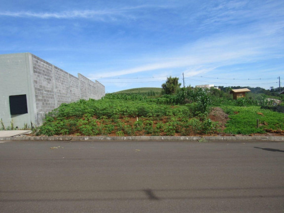 Imagem Terreno à Venda, 360 m² em Santa Terezinha - Concórdia Imagem Terreno à Venda, 360 m² em Santa Terezinha - Concórdia