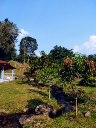 Imagem Imóvel com 3 Quartos à Venda, em Comunidade Rural - Presidente Figueiredo Imagem Imóvel com 3 Quartos à Venda, em Comunidade Rural - Presidente Figueiredo