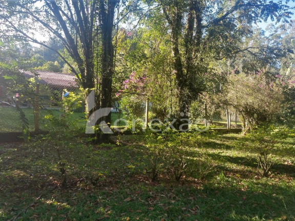 Imagem Chácara com 3 Quartos à Venda, 250 m² em Rio De Peixe - São José Dos Campos Imagem Chácara com 3 Quartos à Venda, 250 m² em Rio De Peixe - São José Dos Campos