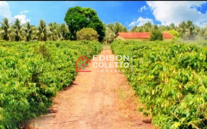 Imagem Fazenda à Venda, 6.000.000 m² em Centro - Itamaraju