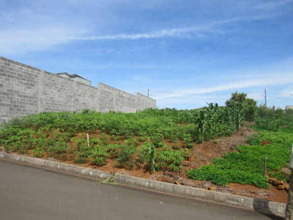 Imagem Terreno à Venda, 360 m² em Santa Terezinha - Concórdia Imagem Terreno à Venda, 360 m² em Santa Terezinha - Concórdia