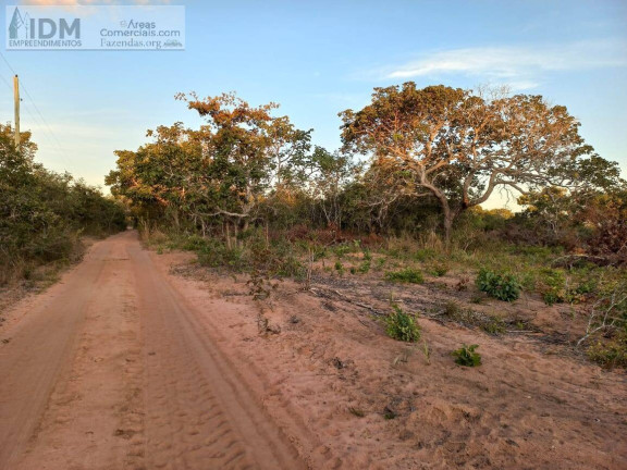 Imagem Chácara à Venda, 19.500.000 m² em Centro - Arinos
