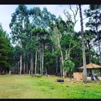 Imagem Imóvel com 2 Quartos à Venda, 52.400 m² em Centro - Rio Negro Imagem Imóvel com 2 Quartos à Venda, 52.400 m² em Centro - Rio Negro