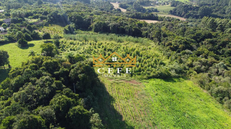 Sala Comercial à Venda, 20 m² em Pinhal Alto - Nova Petrópolis