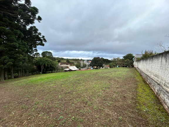 Imagem Terreno à Venda, 2.600 m² em Vila Bancária - Campo Largo Imagem Terreno à Venda, 2.600 m² em Vila Bancária - Campo Largo
