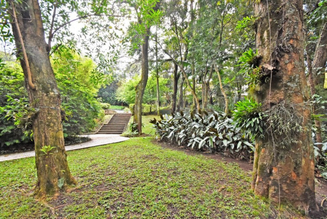Imagem Casa com 5 Quartos à Venda, 976 m² em Cidade Jardim - São Paulo