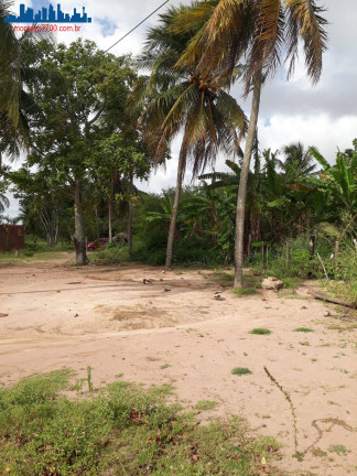 Imagem Chácara à Venda, 4 m² em Guajirú - São Gonçalo Do Amarante