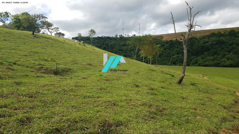 Imagem Fazenda à Venda, 128 m² em Zona Rural - Oliveira Imagem Fazenda à Venda, 128 m² em Zona Rural - Oliveira