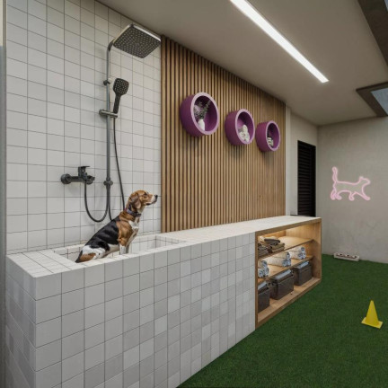 Imagem Apartamento com 1 Quarto à Venda, 32 m² em Bento Ferreira - Vitória Imagem Apartamento com 1 Quarto à Venda, 32 m² em Bento Ferreira - Vitória