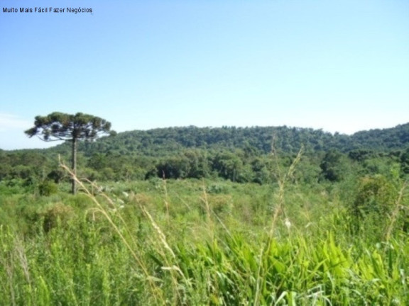 Imagem Terreno à Venda, 7 m² em Linha Imperial - Nova Petrópolis Imagem Terreno à Venda, 7 m² em Linha Imperial - Nova Petrópolis