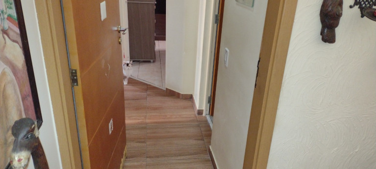 Imagem Apartamento com 3 Quartos à Venda, 65 m² em Vila Emir - São Paulo